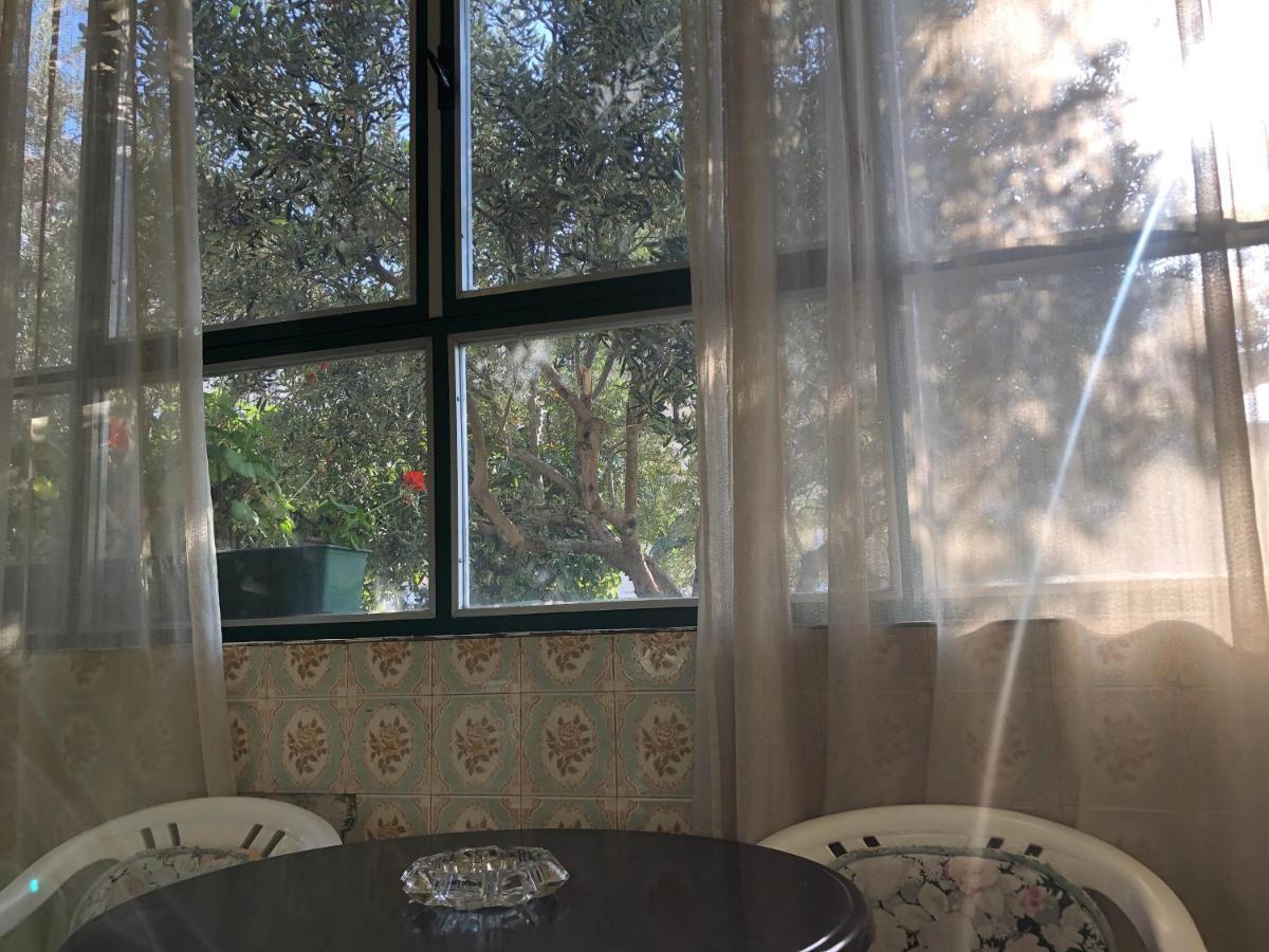 Garden Apartman Сплит Экстерьер фото